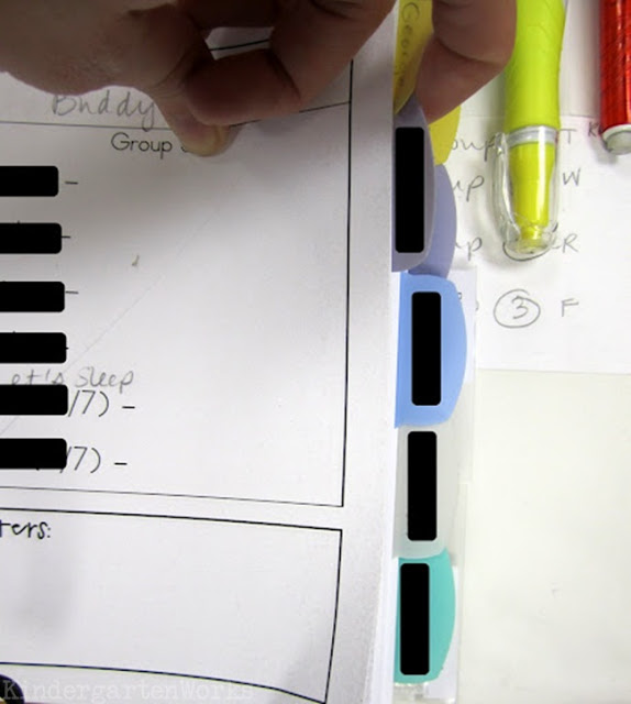 Guided Reading Planning Binder for Kindergarten - How to set up tabs for both groups an individual students