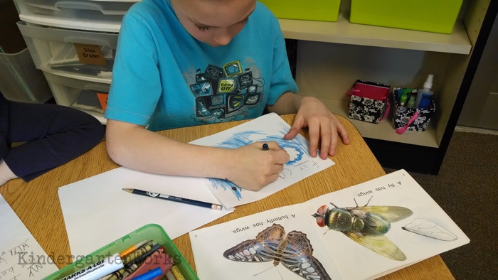 How to Empower Kindergarten Writers By Reading Aloud - KindergartenWorks