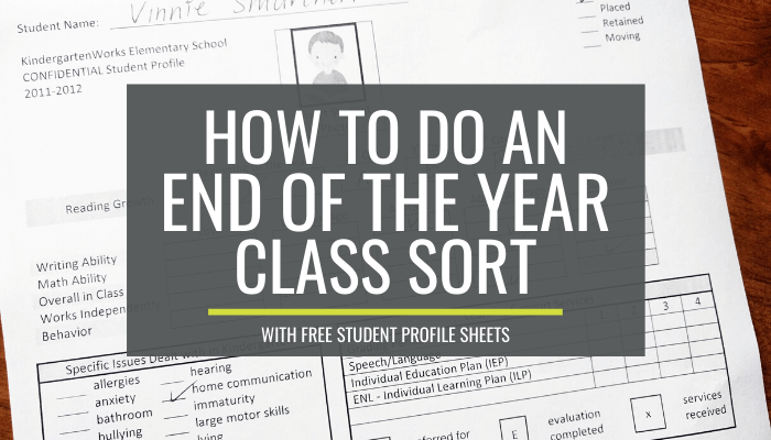 End of the Year Student Profile Sheet for Class Sorts
