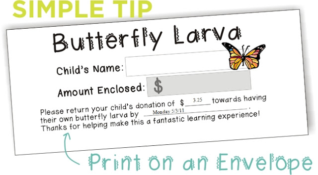 KindergartenWorks: studying butterflies for kids