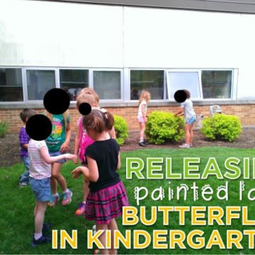 releasing painted lady butterflies in kindergarten