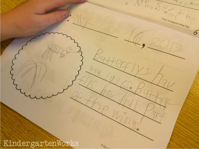 How to Do a Painted Lady Butterfly Unit in Kindergarten