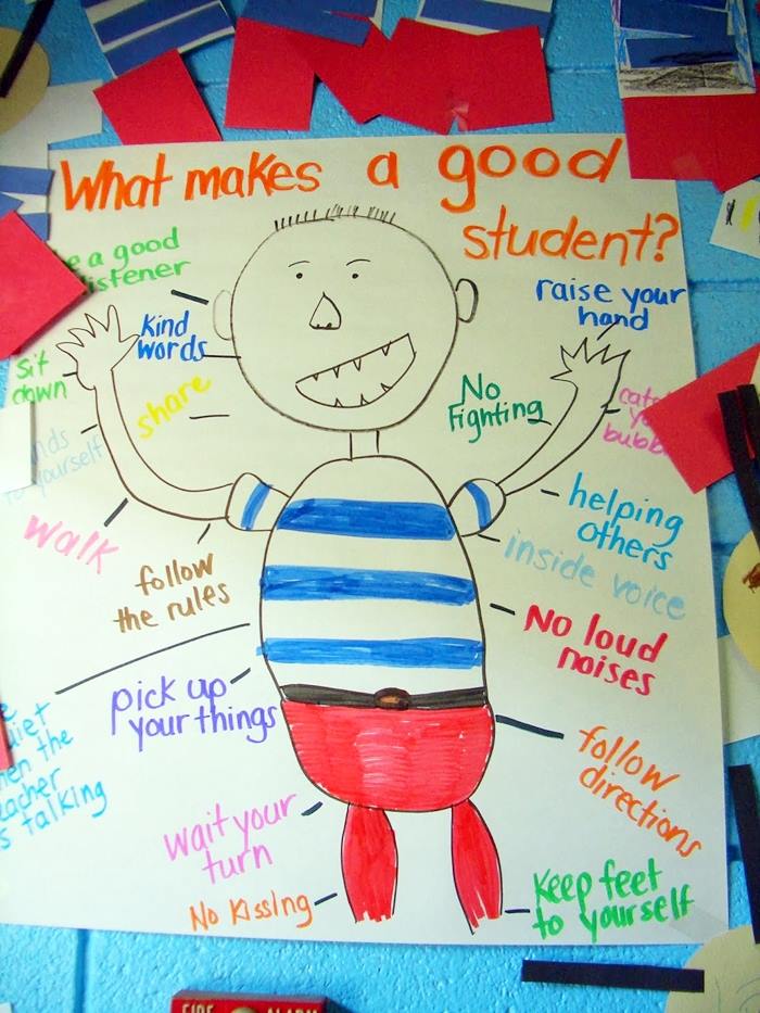 No David Activities and Quick Freebies - what makes a good student anchor chart