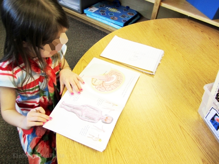 Kindergarten Non Fiction Literacy Center Activity - writing extension activity
