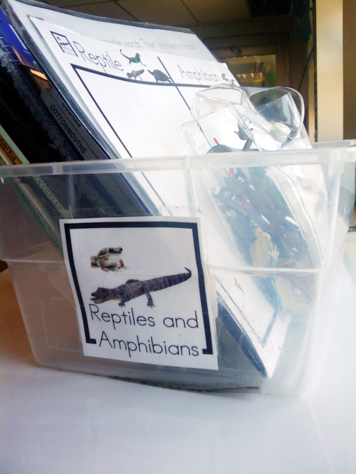 Non-Fiction Literacy Center for Kindergarten - reptiles and amphibians theme