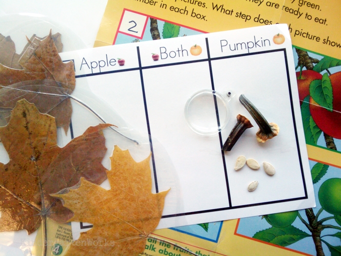 Non-Fiction Literacy Center for Kindergarten - sorting apples and pumpkins