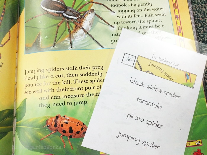 kindergarten literacy center activity - spiders - non fiction theme