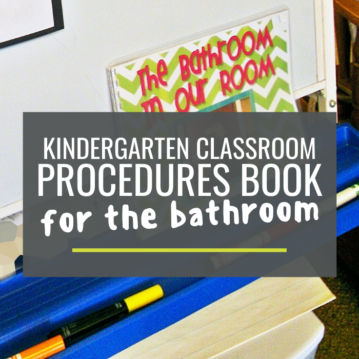 Classroom Procedures Book for the Bathroom